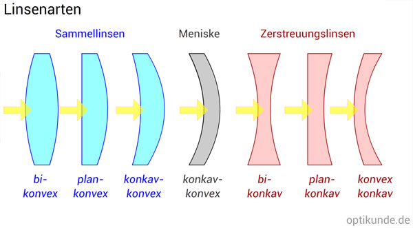 Linsen-Arten